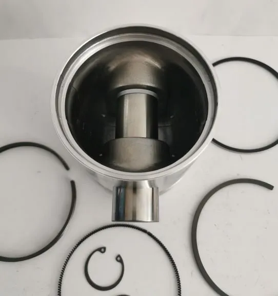 Tłok śr.107,21mm LEYLAND 4CT107 6CT107 SW400 BIZON STD