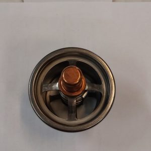 Termostat Caterpillar C9